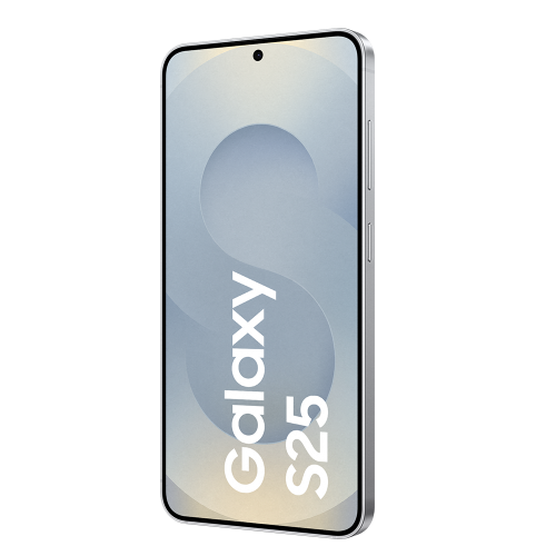 Galaxy S25