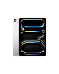 iPad Pro 13" Wi-Fi + Cellular 256 GB Silver