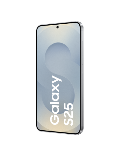 Galaxy S25