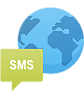 International SMS 100